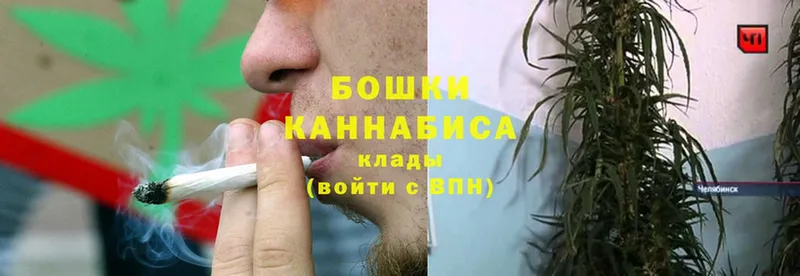 Бошки Шишки конопля  Касли 